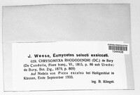 Image Associated With the Occurence
